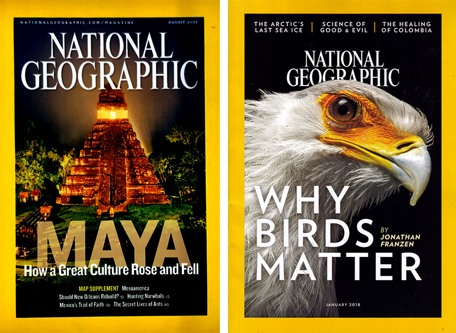 知名好看的時尚雜志 知名好看的時尚雜志